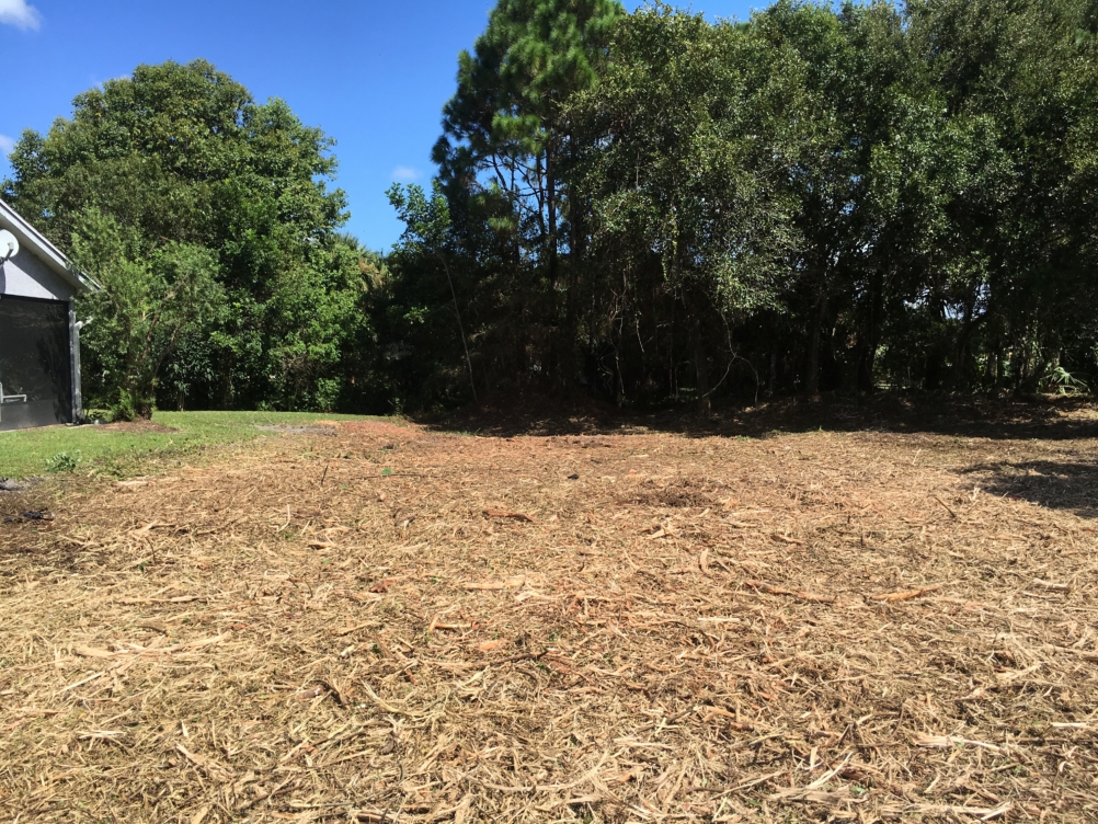 Land/Lot Clearing