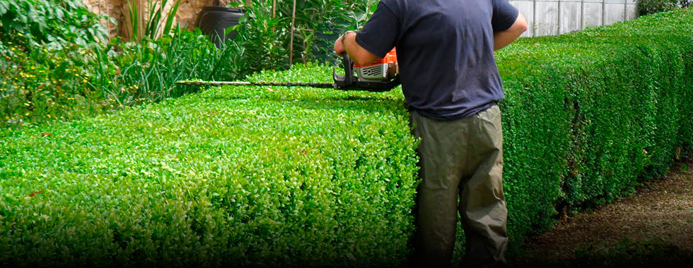 Shrub & Hedge Trimming Services
