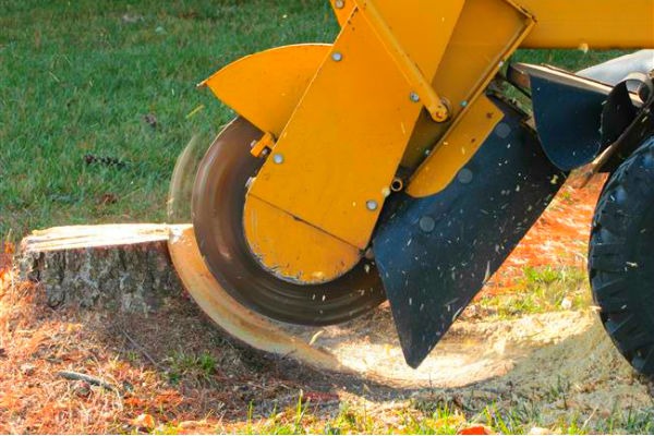 stump grinding services