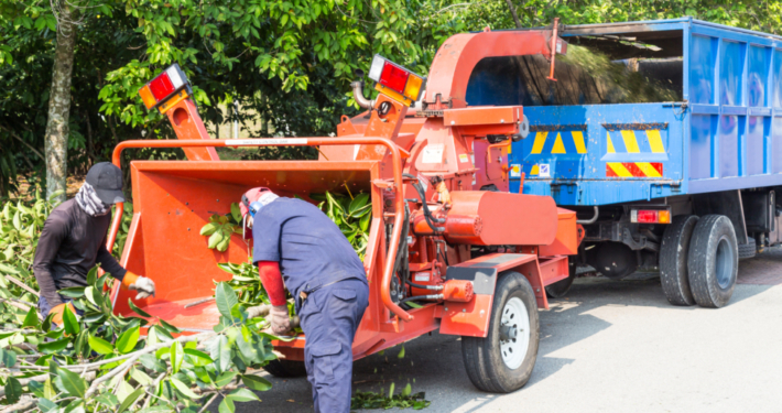 tree debris removal