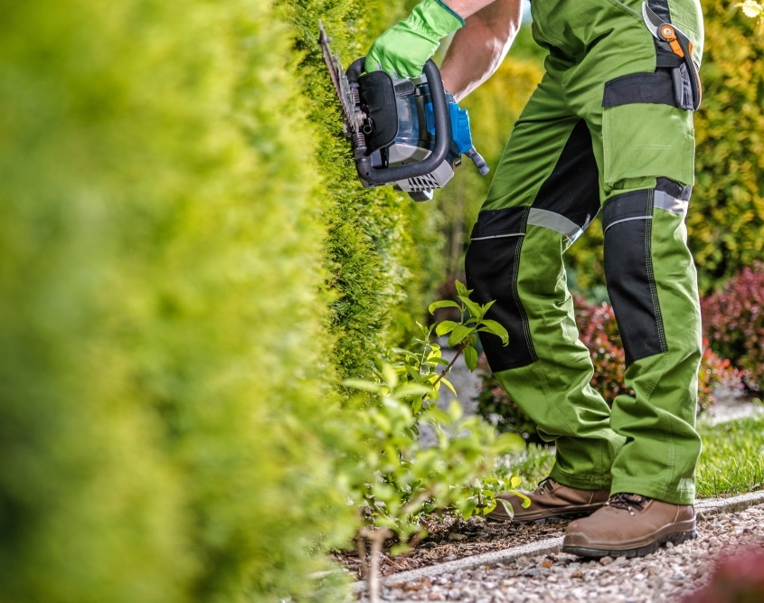 hedge trimming process and pricing