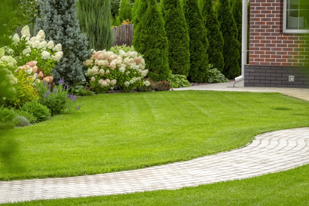 landscaping hedge trimming services