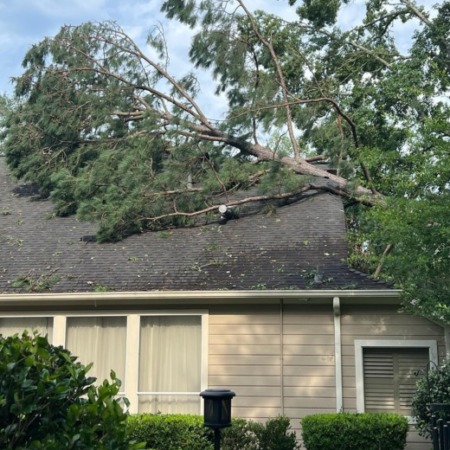 Property Damage Emergency Tree Removal