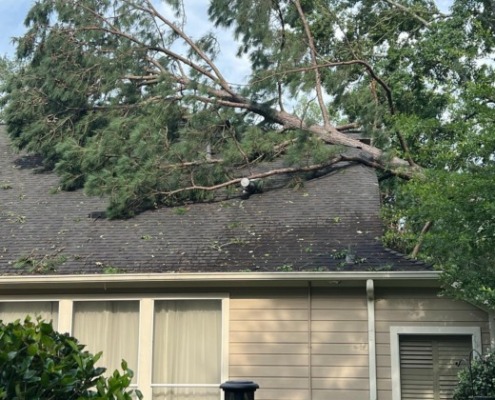 Property Damage Emergency Tree Removal