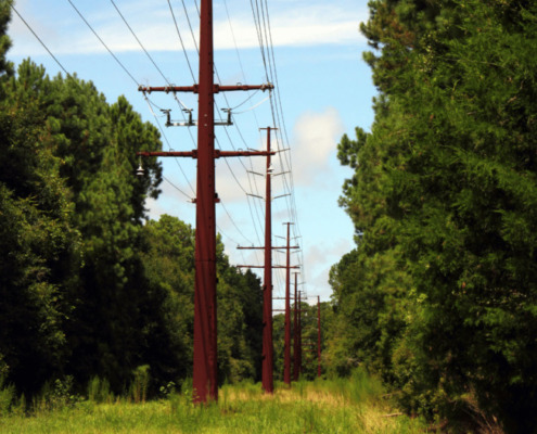 Clearing Right-of-way Land and Utility Easements