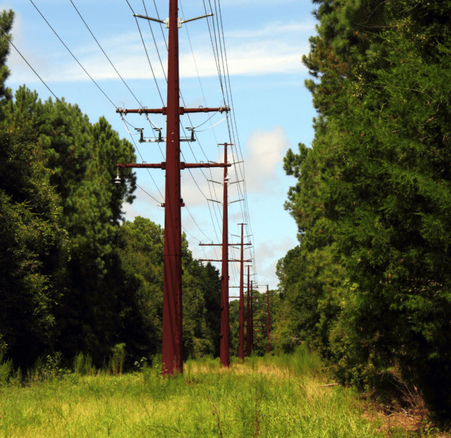 Clearing Right-of-way Land and Utility Easements