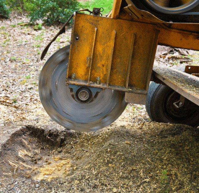 Deep Stump Grinding