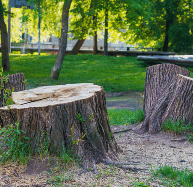 Multiple Stump Removal