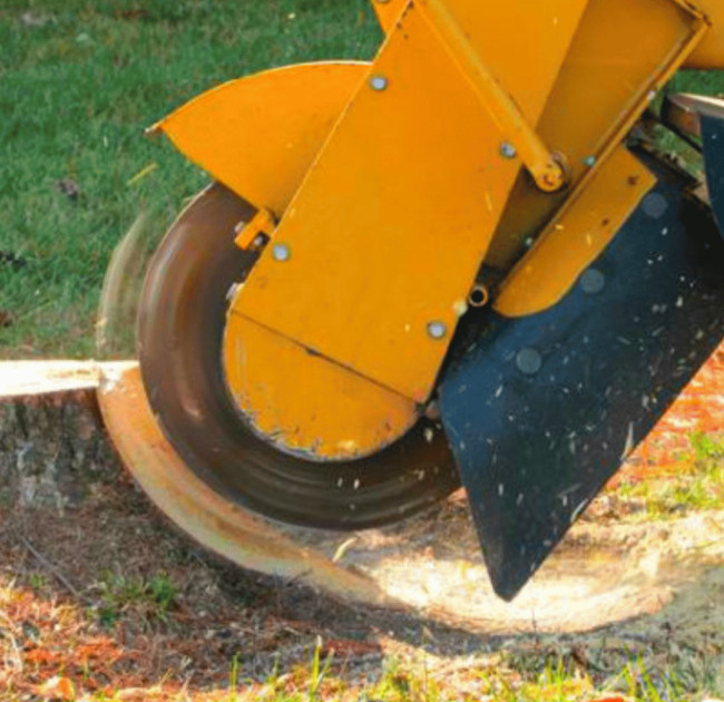 Standard Stump Grinding