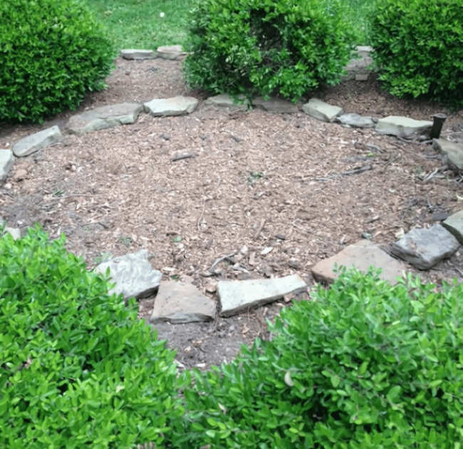 Stump Grinding for Landscaping Projects