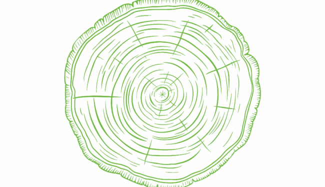 Tree Stump Grinding Icon