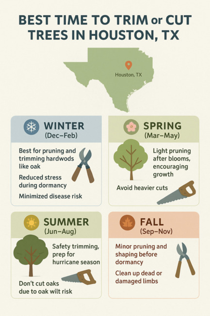 When Is the Best Time to Trim or Cut Trees in Houston, TX