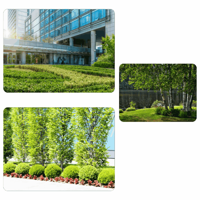 Commercial Landscaping Houston TX