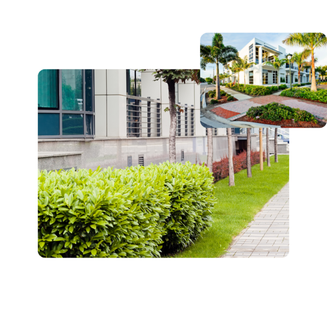 HOA & Multi-Property Maintenance Experts
