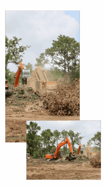 Land Clearing in Houston What You Need to Know