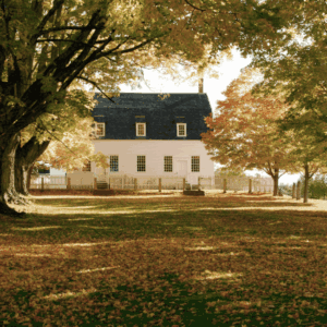 Fall Tree Prep Checklist